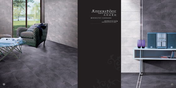 Acid-Resistant Low Water Absorption Glazed Porcelain Floor Tile Interior Tile 300x600mm